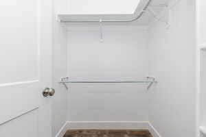 Spacious closet featuring dark wood-style flooring