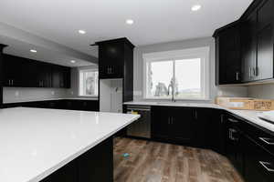 Kitchen featuring stainless steel dishwasher, dark cabinetry, and recessed lighting