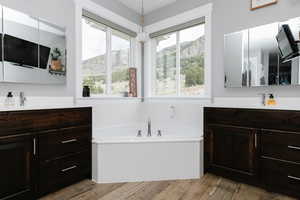 Bathroom featuring vanity, a garden tub, and wood finished floors