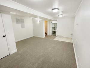 Finished basement with visible vents, ornamental molding, baseboards, carpet flooring, and stairs