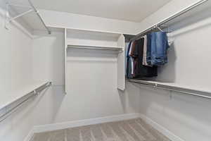Spacious closet with carpet flooring