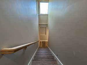 Staircase with baseboards and wood finished floors
