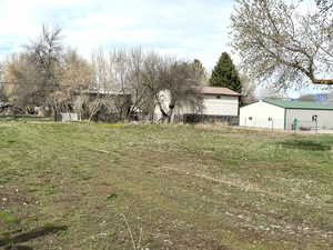Back pasture could be fenced for animals