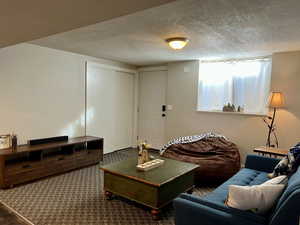 Carpeted living area featuring a textured ceiling