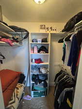 Master Closet with carpet floors