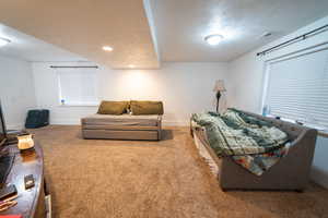 Living room with visible vents, baseboards, and carpet flooring