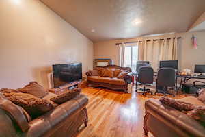 Living room featuring vaulted ceiling and light wood-type flooring