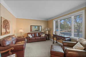 Carpeted living area with crown molding and baseboards
