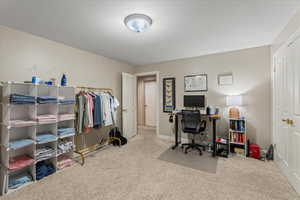 Office space with baseboards and carpet