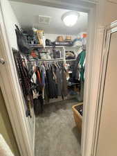 Spacious closet featuring visible vents and carpet