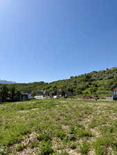 View of yard with a mountain view