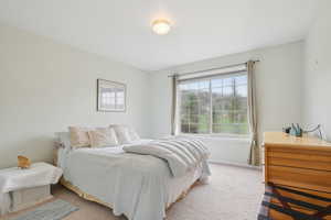 Bedroom featuring baseboards, carpet flooring, and multiple windows