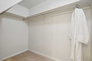 Walk in closet with carpet floors