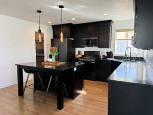 Kitchen featuring dark cabinets, stainless steel appliances, light wood-style flooring, and a sink