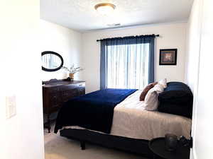 Carpeted bedroom featuring a textured ceiling and visible vents