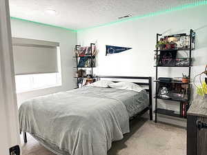 Carpeted bedroom featuring a textured ceiling and visible vents