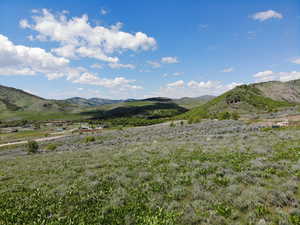 Mountain view