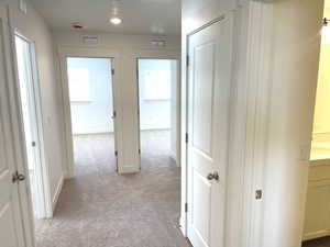 Hallway with plenty of natural light, visible vents, and light carpet