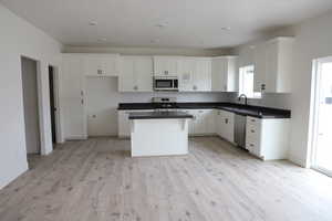Kitchen with light wood-type flooring, a center island, stainless steel appliances, and a sink