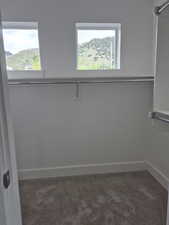 Spacious walk-in closet featuring new carpet