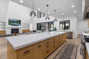 Kitchen with a sink, light wood-type flooring, modern cabinets, light brown cabinets, and appliances with stainless steel finishes