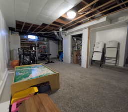 Basement with visible vents and carpet floors
