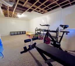 Workout room with carpet