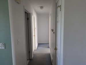 Hall featuring carpet and a textured ceiling