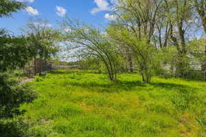 View of yard featuring fence