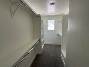 Spacious closet with dark colored carpet and visible vents