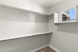 Spacious closet featuring dark colored carpet