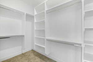 Walk in closet featuring carpet floors