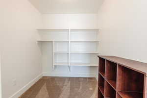Spacious closet featuring carpet
