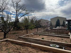 View of yard featuring a garden