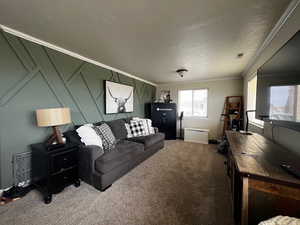 Carpeted living area with a textured ceiling, a decorative wall, ornamental molding, and visible vents