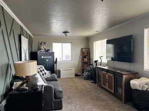 Carpeted living area with a textured ceiling and crown molding