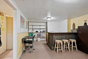 Bar with a bar and carpet