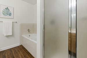 Primary Bath Shower and Tub