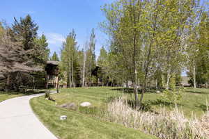 Surrounding community with a lawn