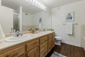 Primary Bath Sink