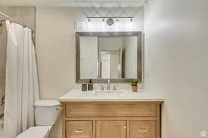 Full bathroom featuring toilet, vanity, and curtained shower