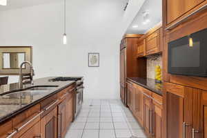 Kitchen with premium appliances, a sink, dark stone counters, decorative backsplash, and baseboards