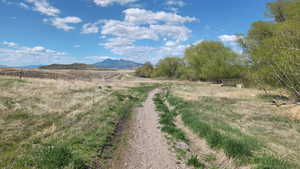 View from the community trail