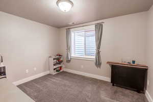Misc room featuring a textured ceiling, carpet floors, visible vents, and baseboards