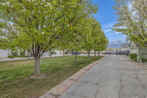 View of road with a mountain view