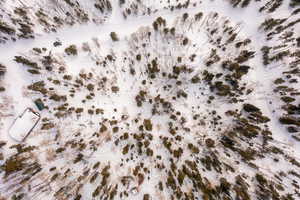 Photo 12 of 