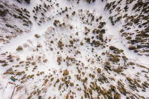 Photo 13 of 