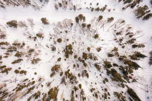 Photo 11 of 