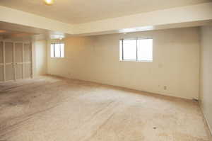 Basement family room