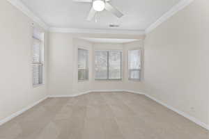 Spare room featuring light colored carpet, a wealth of natural light, and ornamental molding